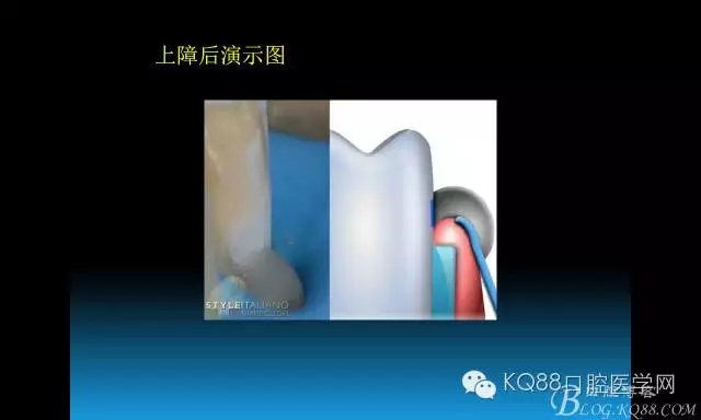 640.webp (74).jpg 640.webp (74).jpg