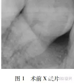 640.webp (4).jpg 640.webp (4).jpg