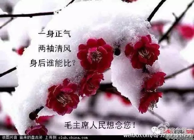 640.webp (20).jpg 640.webp (20).jpg