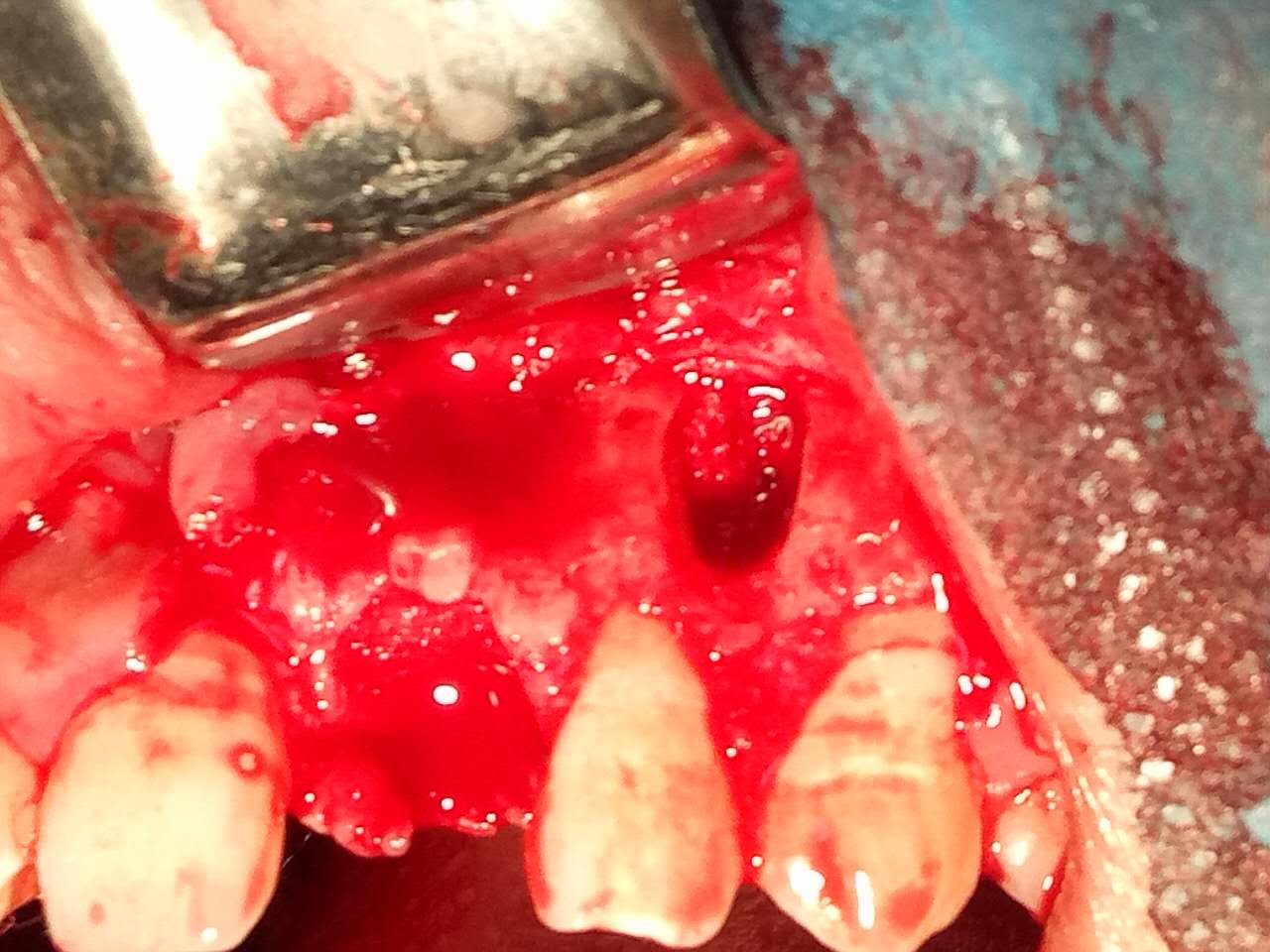 webwxgetmsgimg (5).jpg webwxgetmsgimg (5).jpg