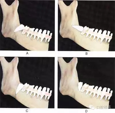 640.webp.jpg 640.webp.jpg