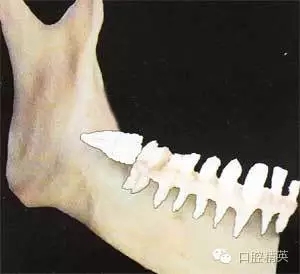 640.webp (4).jpg 640.webp (4).jpg