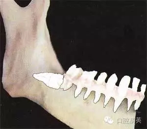 640.webp (6).jpg 640.webp (6).jpg