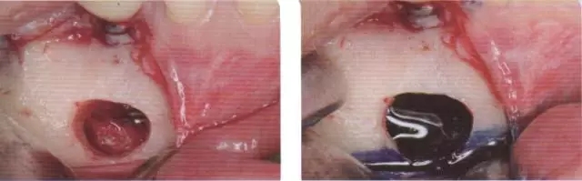 640.webp (1).jpg 640.webp (1).jpg