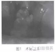 640.webp.jpg 640.webp.jpg