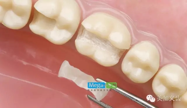 640.webp (18).jpg 640.webp (18).jpg