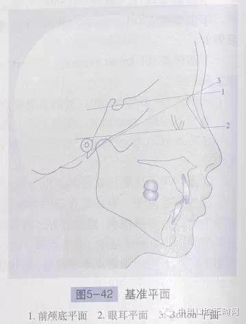 0.webp (1).jpg 0.webp (1).jpg