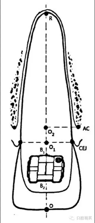 640.webp (3).jpg 640.webp (3).jpg