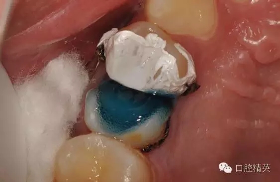 640.webp (17).jpg 640.webp (17).jpg