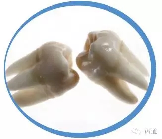 640.webp (2).jpg 640.webp (2).jpg