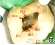 640.webp (4).jpg 640.webp (4).jpg