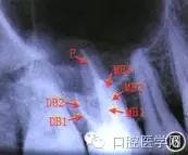 640.webp (5).jpg 640.webp (5).jpg