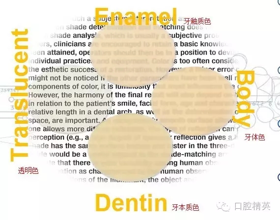 640.webp (16).jpg 640.webp (16).jpg