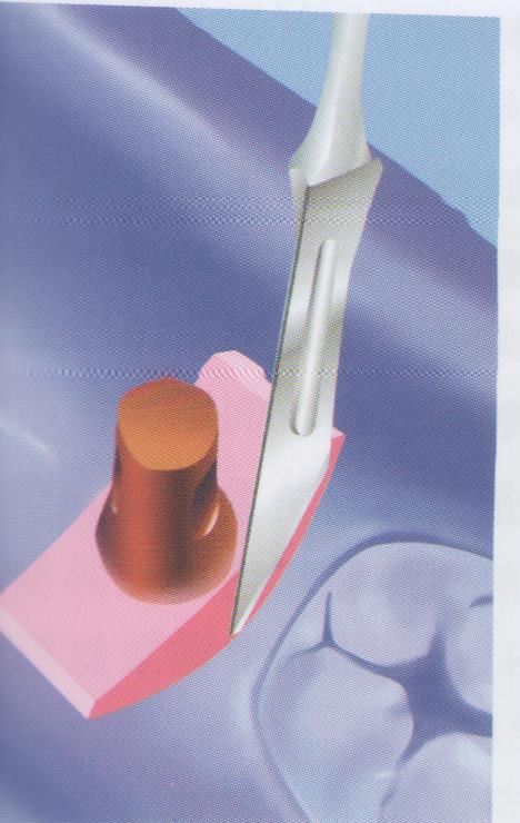 psb (1).jpg psb (1).jpg