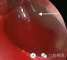 640.webp (2).jpg 640.webp (2).jpg