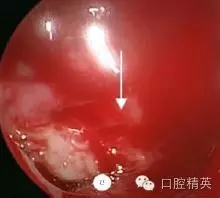 640.webp (3).jpg 640.webp (3).jpg