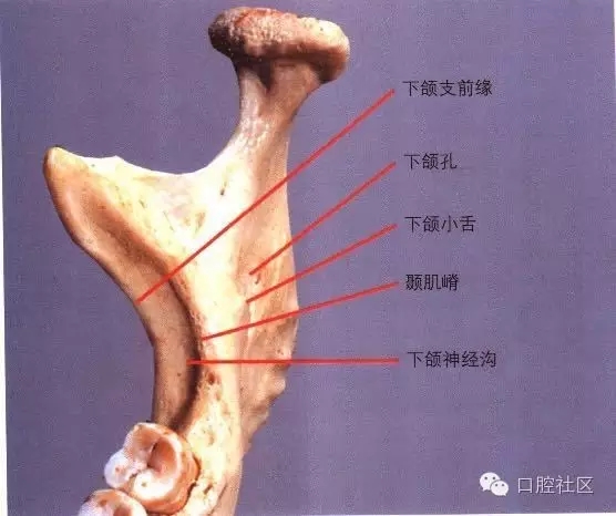 口腔醫(yī)生必讀:“急診搶救”預(yù)案 口腔醫(yī)生必讀:“急診搶救”預(yù)案