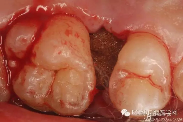 640.webp (22).jpg 640.webp (22).jpg