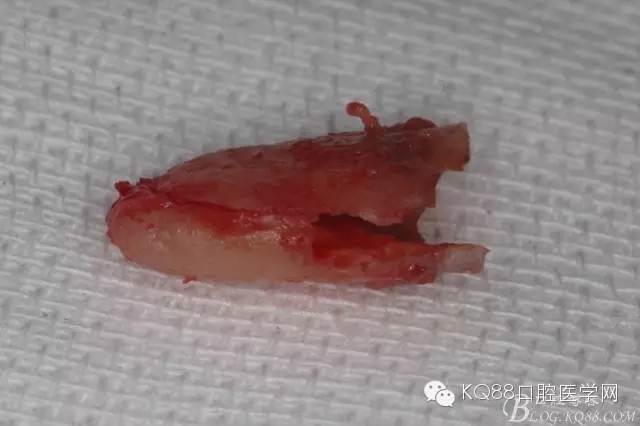 640.webp (24).jpg 640.webp (24).jpg