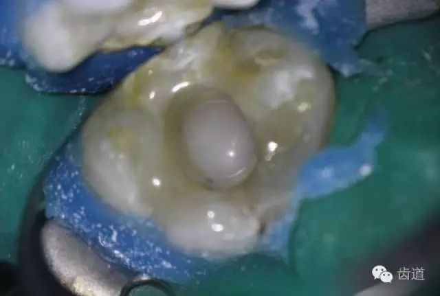 640.webp (17).jpg 640.webp (17).jpg