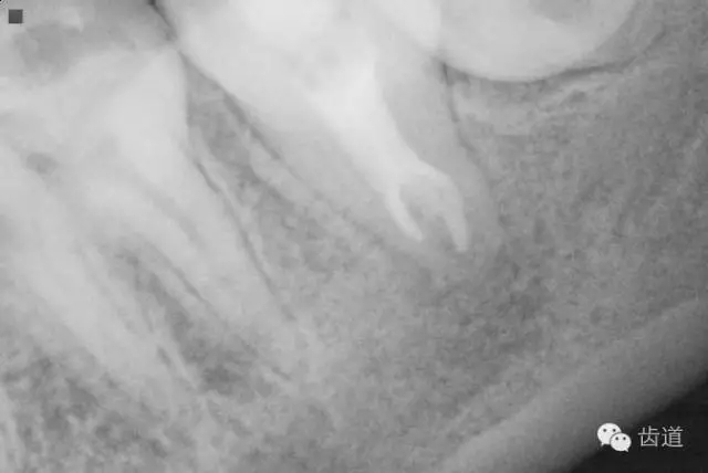 640.webp (25).jpg 640.webp (25).jpg