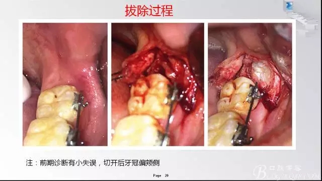 640.webp (19).jpg 640.webp (19).jpg