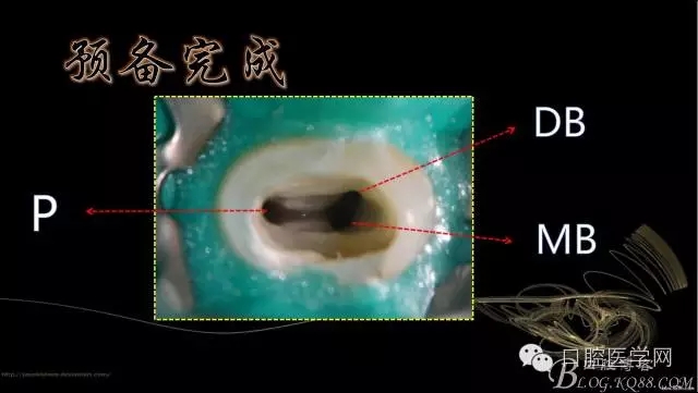 640.webp (21).jpg 640.webp (21).jpg