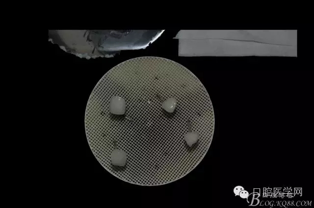 640.webp (17).jpg 640.webp (17).jpg