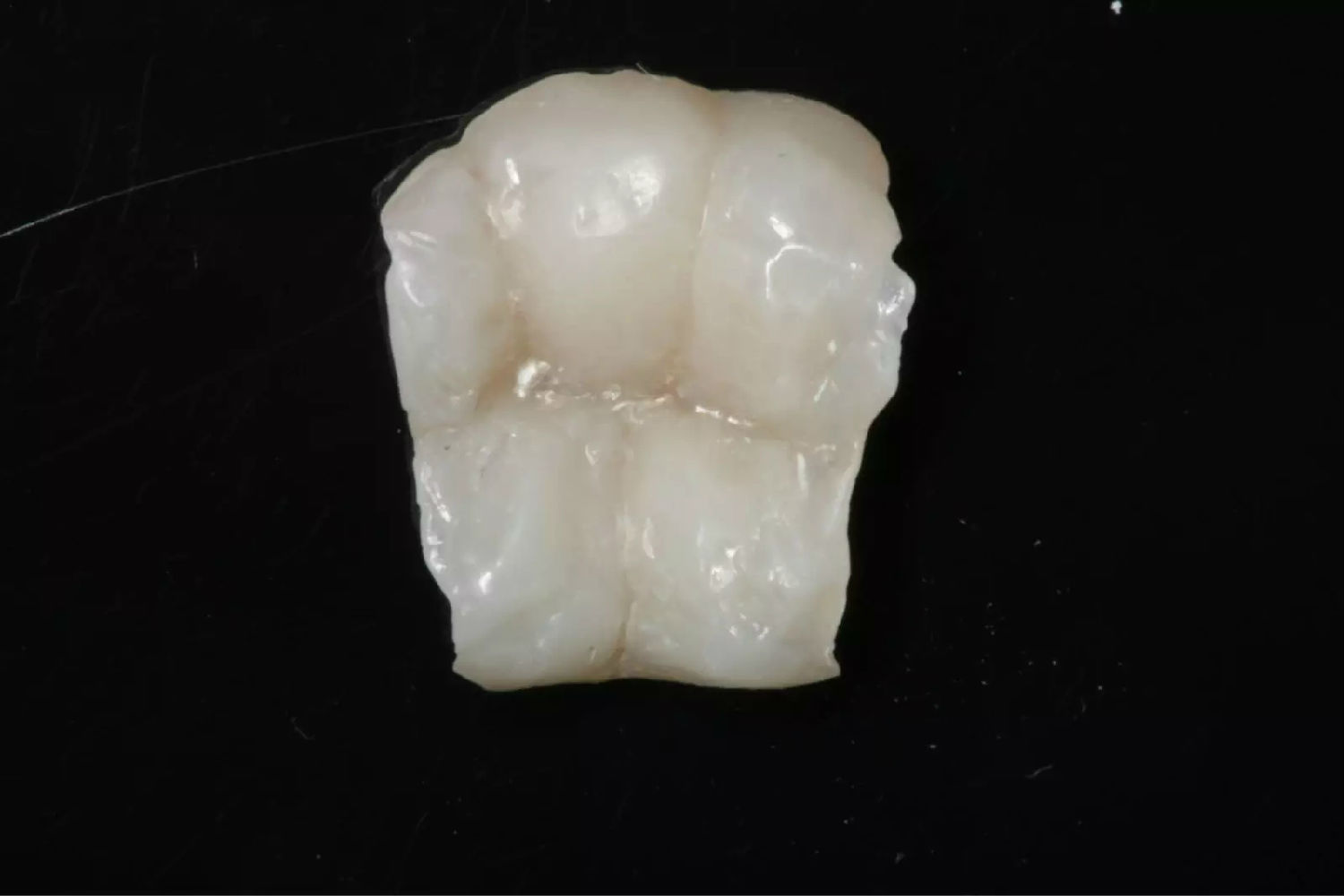 0.webp (8).jpg 0.webp (8).jpg