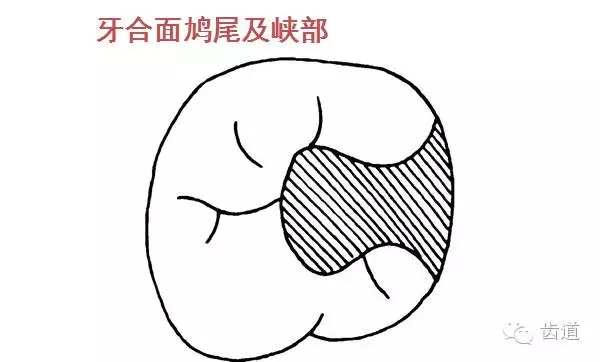 640 (1).webp.jpg 640 (1).webp.jpg