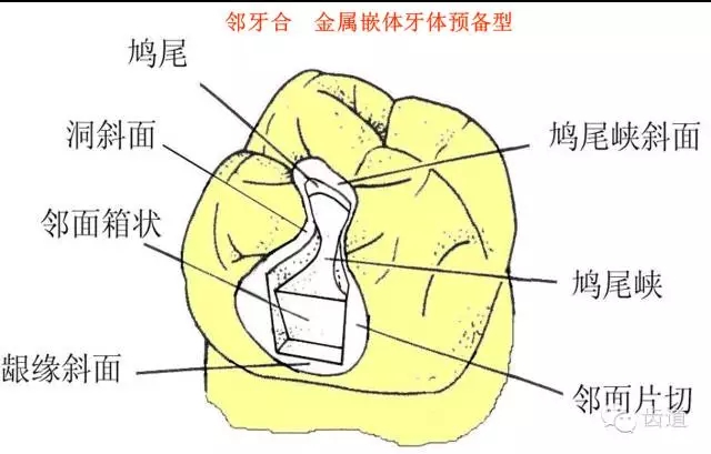 640 (1).webp (4).jpg 640 (1).webp (4).jpg