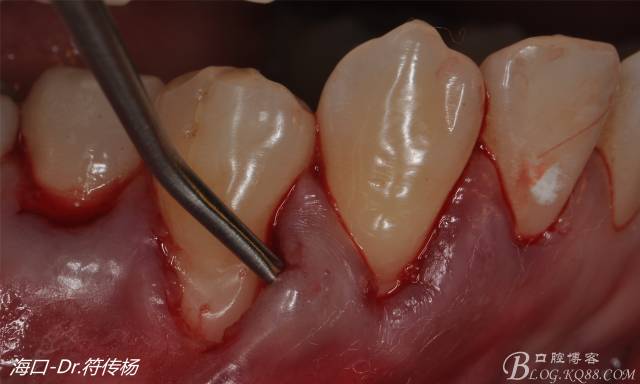 640 (11).jpg 640 (11).jpg