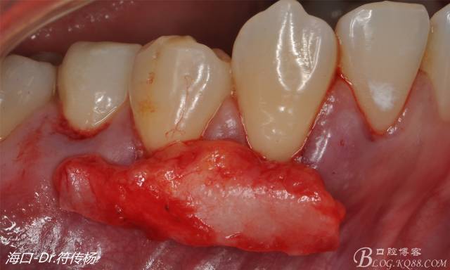 640 (13).jpg 640 (13).jpg