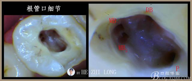 640 (2).jpg 640 (2).jpg