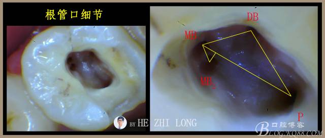 640 (22).jpg 640 (22).jpg