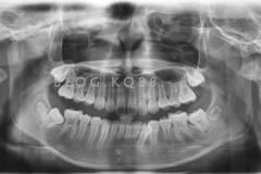 20131036286729549.jpg 20131036286729549.jpg