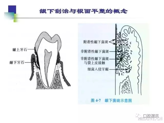 640.webp (3).jpg 640.webp (3).jpg