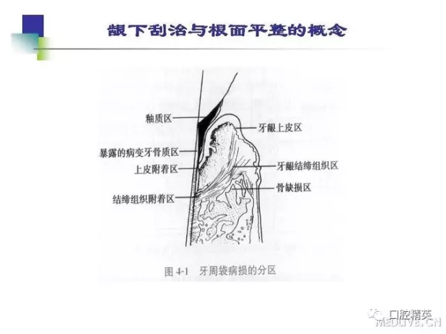 640.webp (4).jpg 640.webp (4).jpg