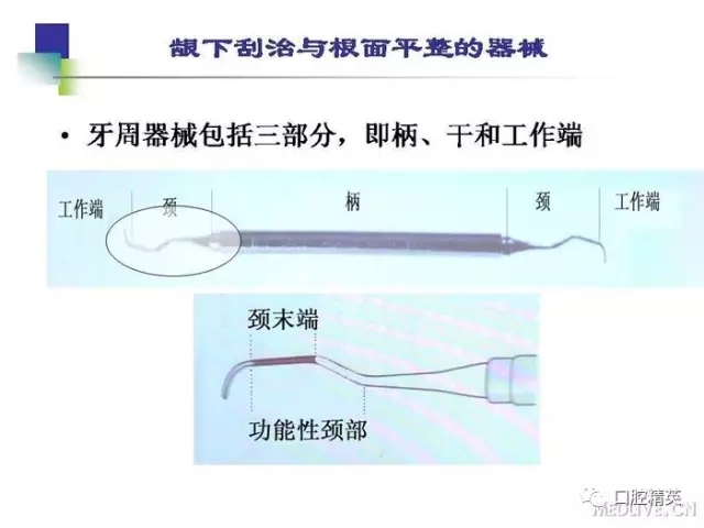 640.webp (7).jpg 640.webp (7).jpg