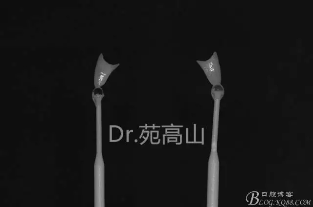 640.webp (13).jpg 640.webp (13).jpg