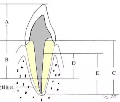 640.webp.jpg 640.webp.jpg