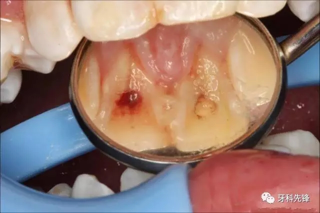 640.webp (3).jpg 640.webp (3).jpg