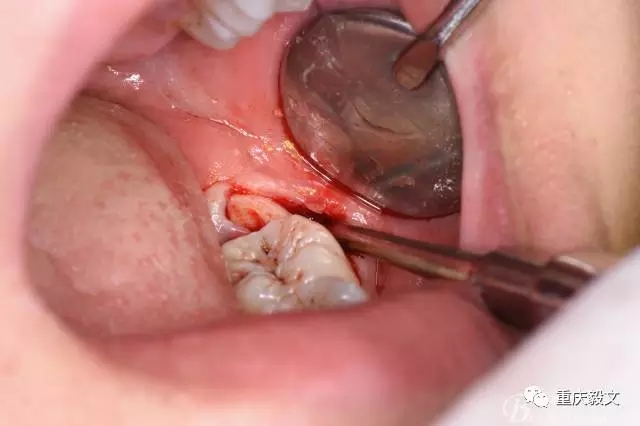 640.webp (12).jpg 640.webp (12).jpg