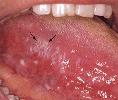 13726155228.jpg 13726155228.jpg