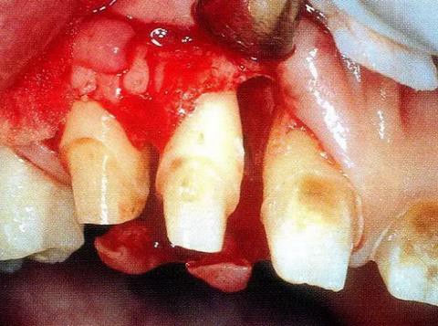 360截圖20170119191051434.jpg 360截圖20170119191051434.jpg