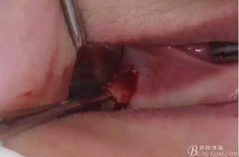 360截圖20170120141613399.jpg 360截圖20170120141613399.jpg