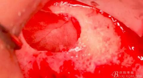 360截圖20170120155801829.jpg 360截圖20170120155801829.jpg