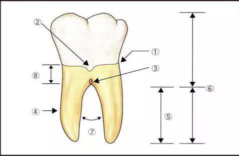 360截圖20170120165936631.jpg 360截圖20170120165936631.jpg