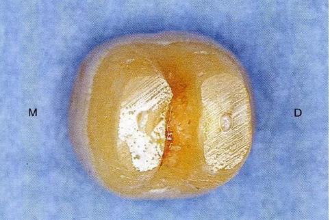 360截圖20170120170113415.jpg 360截圖20170120170113415.jpg