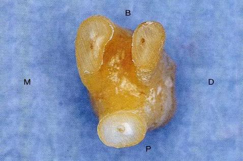 360截圖20170120170121854.jpg 360截圖20170120170121854.jpg